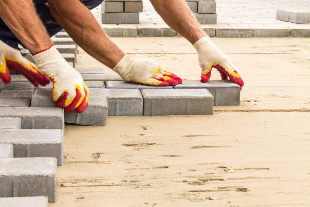 Best Custom Driveway Pavers  in Ortonville, MN
